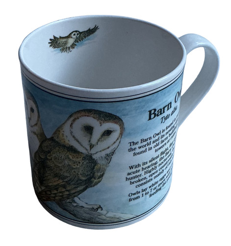 Birdwatch ashley barn owl - birdwatch,