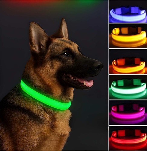 Led dog pet - collar, adjustable