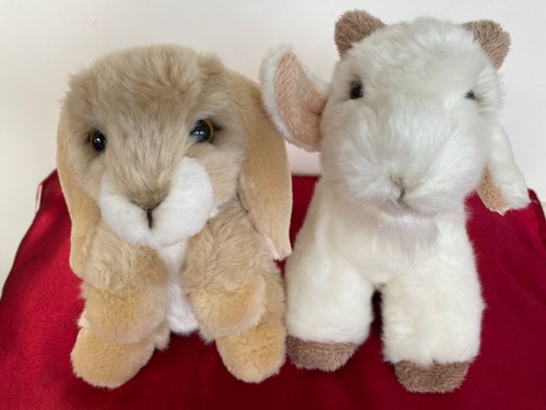 Wilberry little lop eared - wilberry, lop-eared
