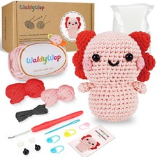 Crochet Kit for Beginners