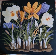 Elizabeth Bradley 16 x 16 inch