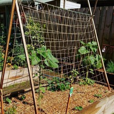 Jute Pea Bean Netting Heavy Duty Natural Biodegradable Plant Support Garden Net