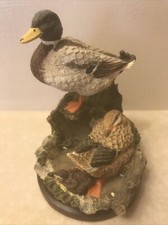 The Mallard The Country Bird