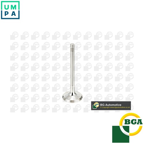 Exhaust valve v991760 - exhaust,