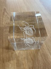 Laser etched spider paperweight