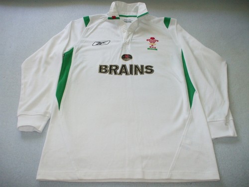 Welsh rugby shirt - welsh,