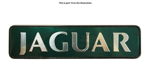 Jaguar genuine trunk - jaguar,