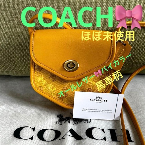 Coach horse carriage - carriage, leather