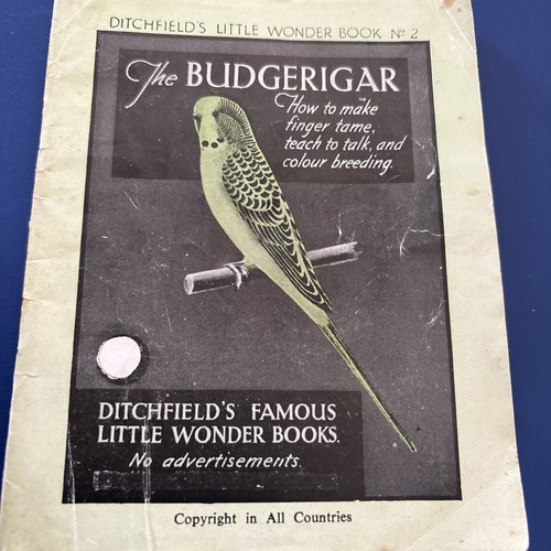 Vintage ditchfields famous - vintage,