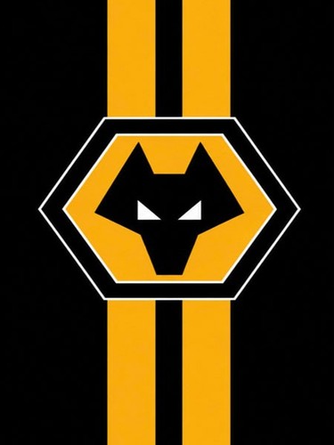 Wolverhampton wanderers - wanderers, fc