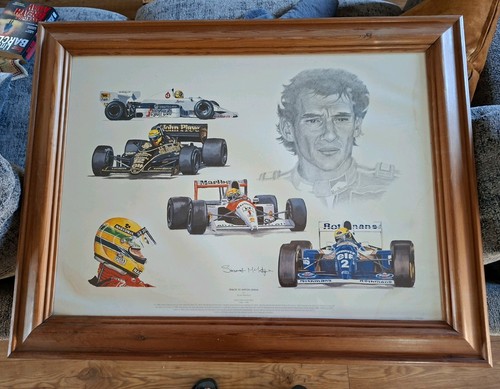 Tribute ayrton senna - ayrton, print