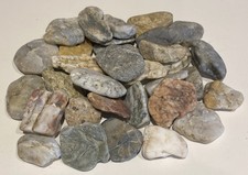 400 g Medium Beach Pebbles Sea