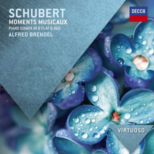 Franz schubert - schubert,