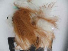MALTESE TERRIER SOFT CUDDLY