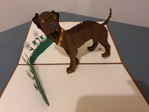 Popup dog card - 3d,