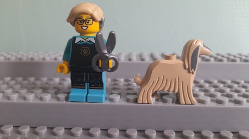 Lego minifigures series pet - minifigures,
