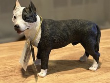 Pit Bull Terrier (Brindle) Dog