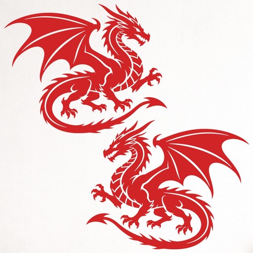 Dragon car campervan - x2,
