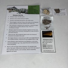 Dinosaur Fossil Pack REAL