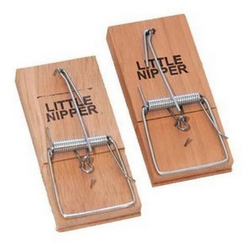 Little nipper snap traps - 2,