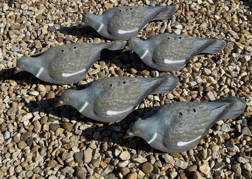 Pigeon decoys set 5 - pigeon, of