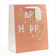 Boofle Large Gift Bag - 33cm x 26cm x 13 cm Boofle Birthday gift bag