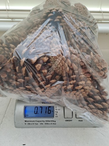 700grams seasoned fir - 50+, pine