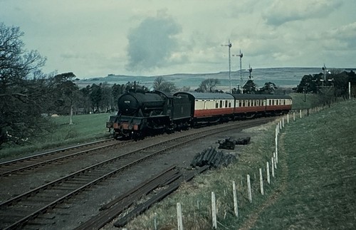 35mm slide lner - slide, 2771