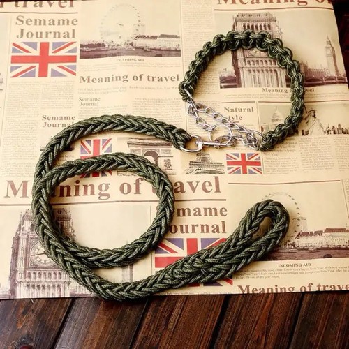 Heavy duty slip lead for - slip, dogs