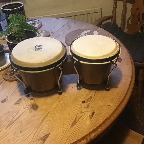 Bongo drums world beat - drums,
