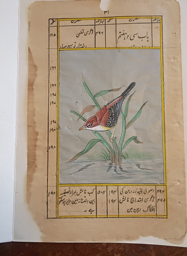 19th century persian - 19th,