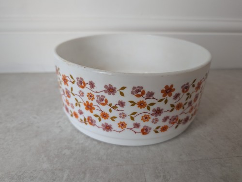 Vintage french pyrex arcopal - french,