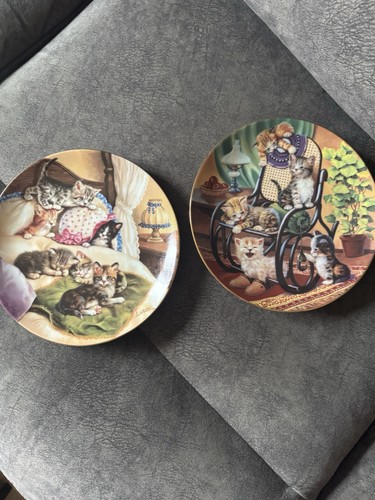 Vintage cat collector - cat,