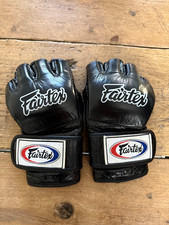 Fairtex FGV12 Gloves - Large