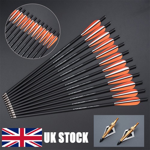 12x carbon bolts hunting - 20",