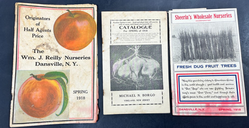 Seeds catalog 1900s lot - 1900s,
