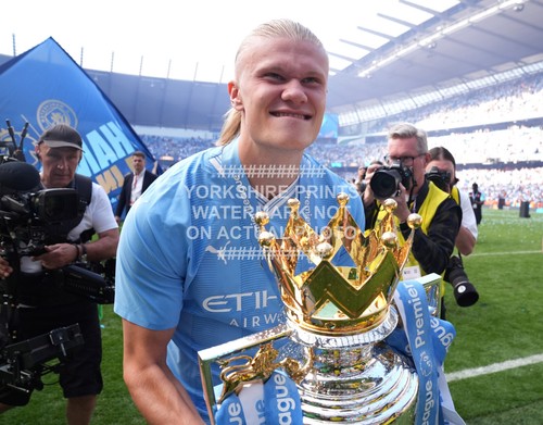 Erling haaland trophy premier - trophy,