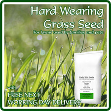 20 kg or 25kg TOUGH LAWN HARD WEARING TOUGH BACK LAWN GRASS SEED  PETS 20kg 25kg