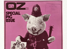 Magazine brown pig - brown,
