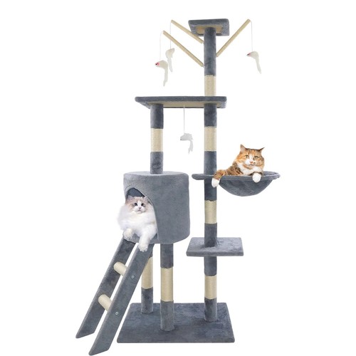 Large cat tree - tree, activity