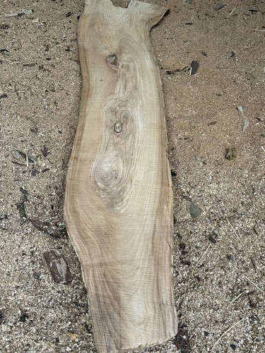 Barn dried roughsawn wych elm - dried,