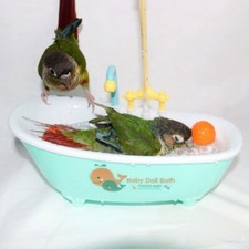 Shower Bathing Tub Parrot