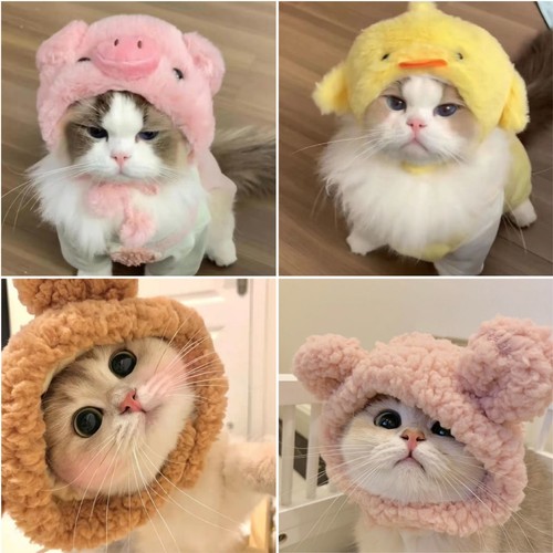 Dog cat pet hat cute - cat, cap