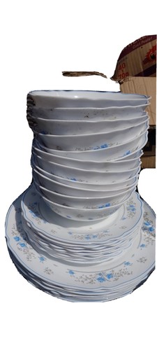 Bone china dinner set - bone,