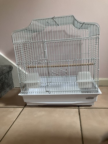 Small parrot budgie wire - or,
