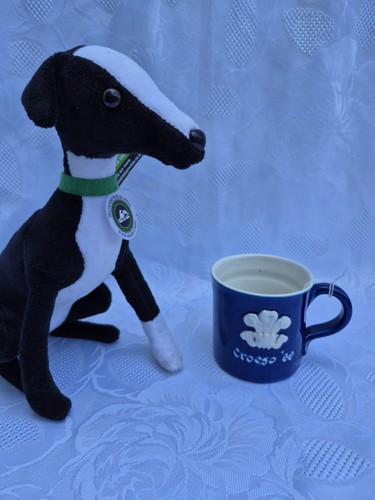 Cardiff investure mug 1969 - cardiff,