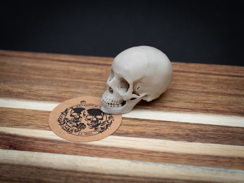 Mini human skull replica - mini,