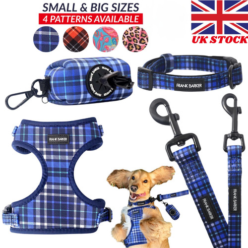 Dog walking set - dog,