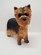 Yorkshire Terrier Dog Lesser &