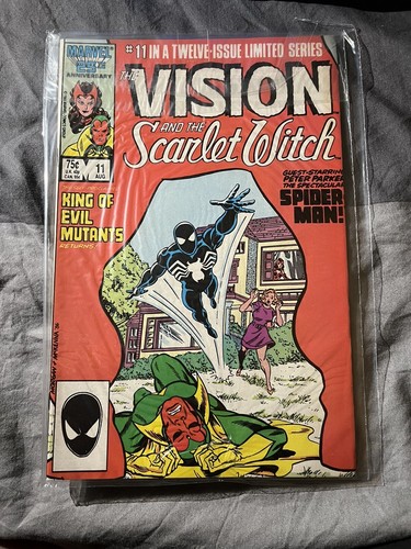 Vision and the scarlet witch - vision,